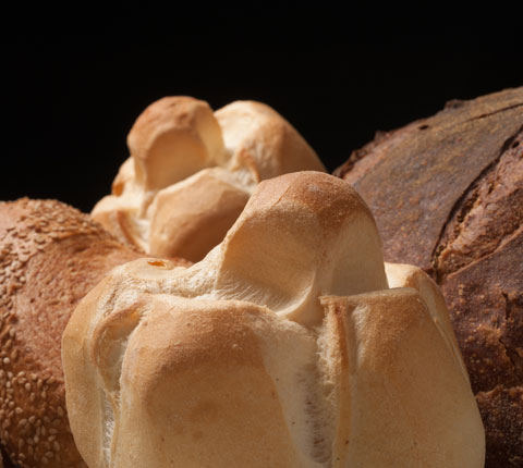 Michette, siciliano al sesamo, pane di Altamura